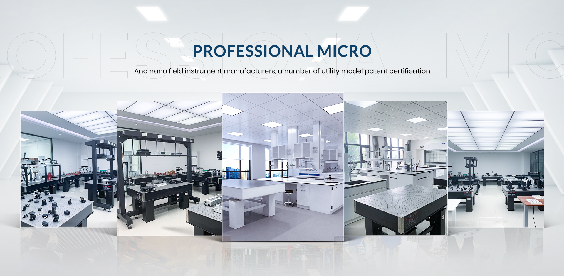 PROFESSIONAL MICRO